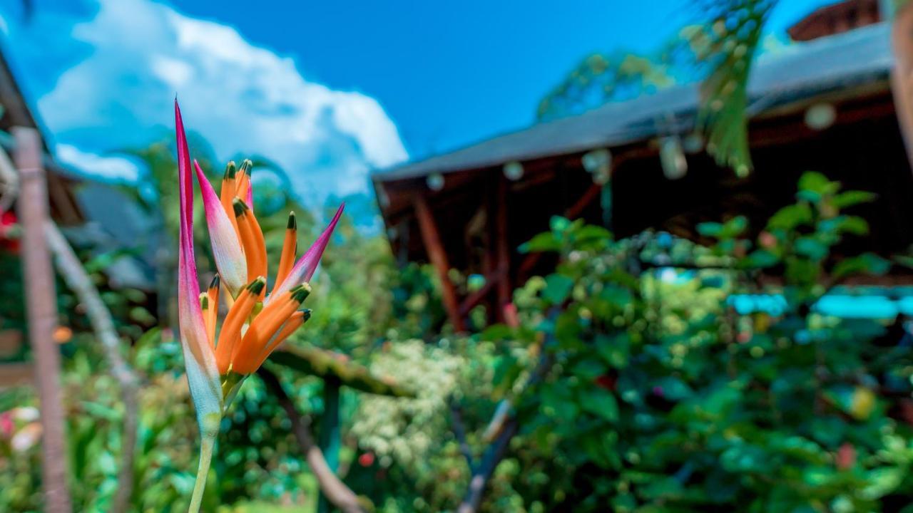 Sisakuna Lodge Миндо Екстериор снимка